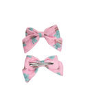 Clips Lazo Cactus Mr. Wonderful Clips Lazo Cactus Mr. Wonderful